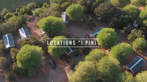 Palombaggia location i pini Porto Vecchio